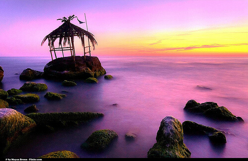 海