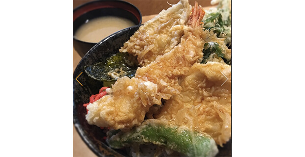twndpn fuji