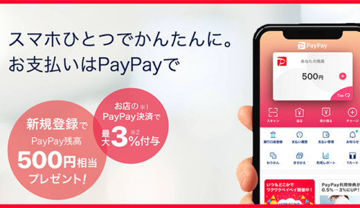 PayPay（ペイペイ）は24/7 Englishで使える？使えない？