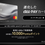 au PAYカード（auペイカード）の審査基準と審査落ち理由・原因・落ちた後の注意点【2024年3月版】