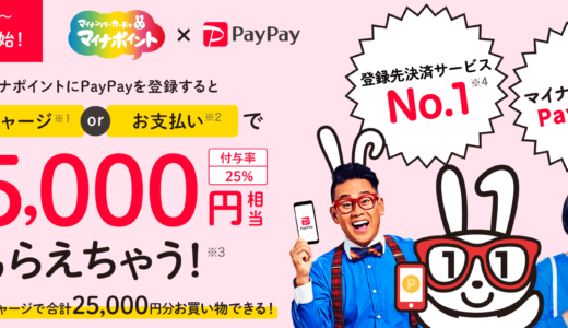 マイナポイントにはPayPay（ペイペイ）登録がお得！最大5,000円相当もらえる