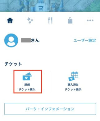 ディズニーチケットの購入方法-img
