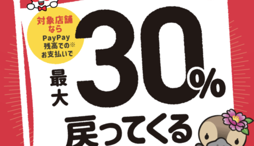 PayPayへ山口銀行から残高チャージできる？できない？  マネープレス