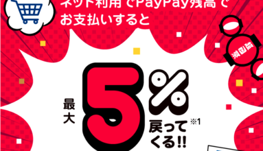 イオンでpaypay ペイペイ は使える 21年11月もお得に決済 マネープレス