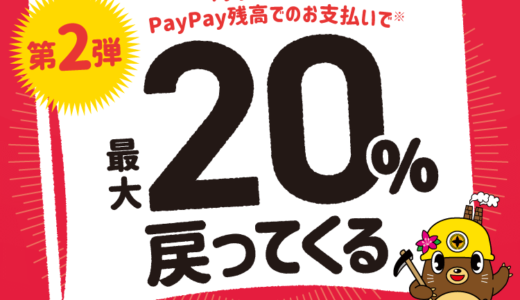 田川市でPayPay（ペイペイ）がお得！2022年1月31日（月）まで最大20％戻ってくるキャンペーン実施中