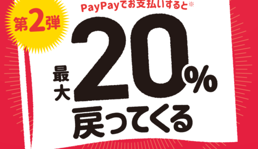 宝塚市でPayPay（ペイペイ）がお得！2022年3月27日（日）まで最大20％戻ってくるキャンペーン実施中