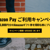 ドクターマーチン×Amazon Pay