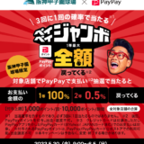 阪神甲子園球場×PayPay