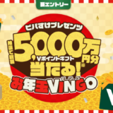 ビバすけプレゼンツ お年玉VINGO