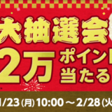 au PAY（auペイ）ふるさと納税の大抽選会