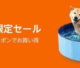 Amazon 夏休み期間限定セールが開催中！2023年8月31日（木）まで夏グッズがお得