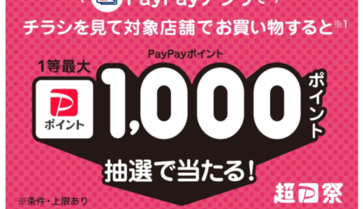 PayPay（ペイペイ）チラシ チェック＆ゴーキャンペーンが開催中！2023年12月12日（火）まで1等最大1,000ポイント当たる