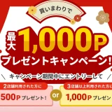 atone（アトネ）買いまわりで最大1000ポイントプレゼントキャンペーンが開催中！2024年1月31日（水）まで