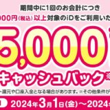 iD（アイディー）最大5,000円キャッシュバックキャンペーンが開催中！2024年4月30日（火）まで