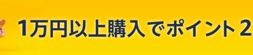Amazon 1万円以上購入でポイント2倍キャンペーンが開催中！2025年5月16日（金）まで