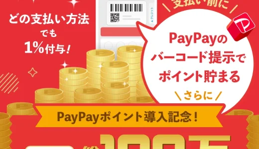 薬王堂でPayPayポイントを貯めよう 総額100万PayPayポイント山分けキャンペーンが開催中！2025年7月31日（木）まで