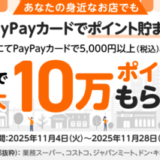 身近なお店やスーパーでもPayPayカードで支払おう キャンペーンが開催中!2025年11月28日(金)まで抽選で最大10万ポイントもらえる